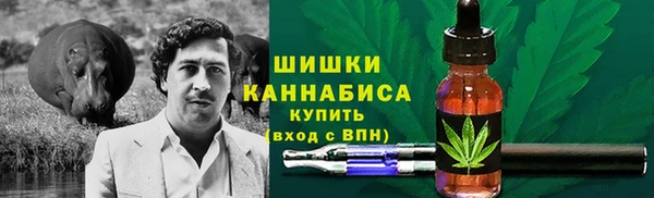 PSILOCYBIN Алзамай