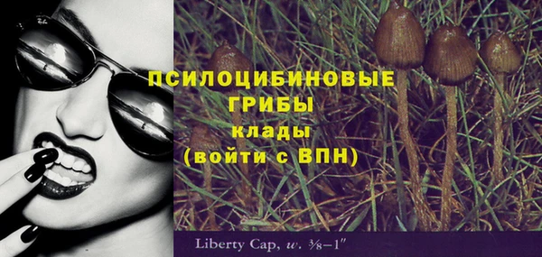 PSILOCYBIN Алзамай