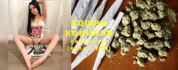 PSILOCYBIN Алзамай