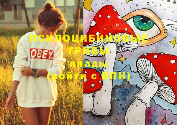 PSILOCYBIN Алзамай