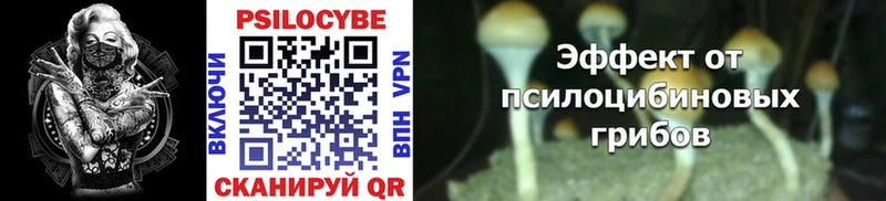 Галлюциногенные грибы Magic Shrooms  Благовещенск 